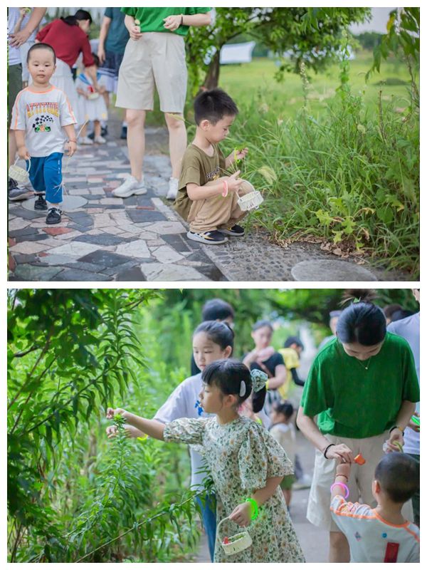 1665220302455305fYj1.jpg NeoImage_副本.jpg